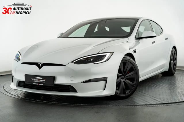 Model S, PLAID Carbon On Stock Yoke