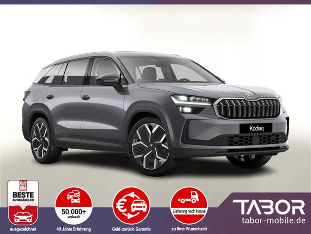 Kodiaq, TDI 193 AHK Pano 7S Matrix HUD Leder 360°