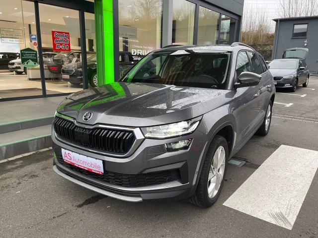 Kodiaq, Tour mit AHK NAVI KAMERA ACC LED