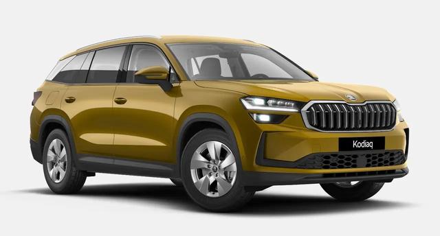 Kodiaq, 2.0 TDI DSG Selection 360*ACC*LED*KEYLESS